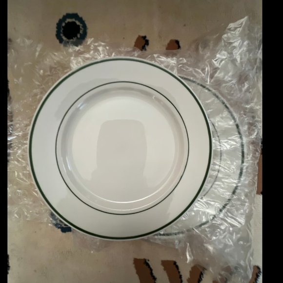 Lots of vintage 3  buffalo China USA 9” green stripes plates - Picture 1 of 4